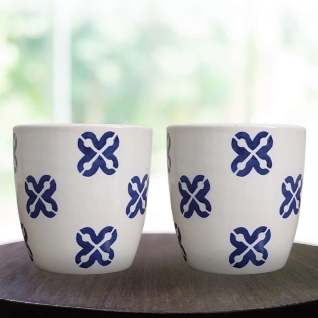 Premium Ceramic Planter Pot for Succulents | Cactus | Indoor Plants White & Blue – Set of 2 (Two)