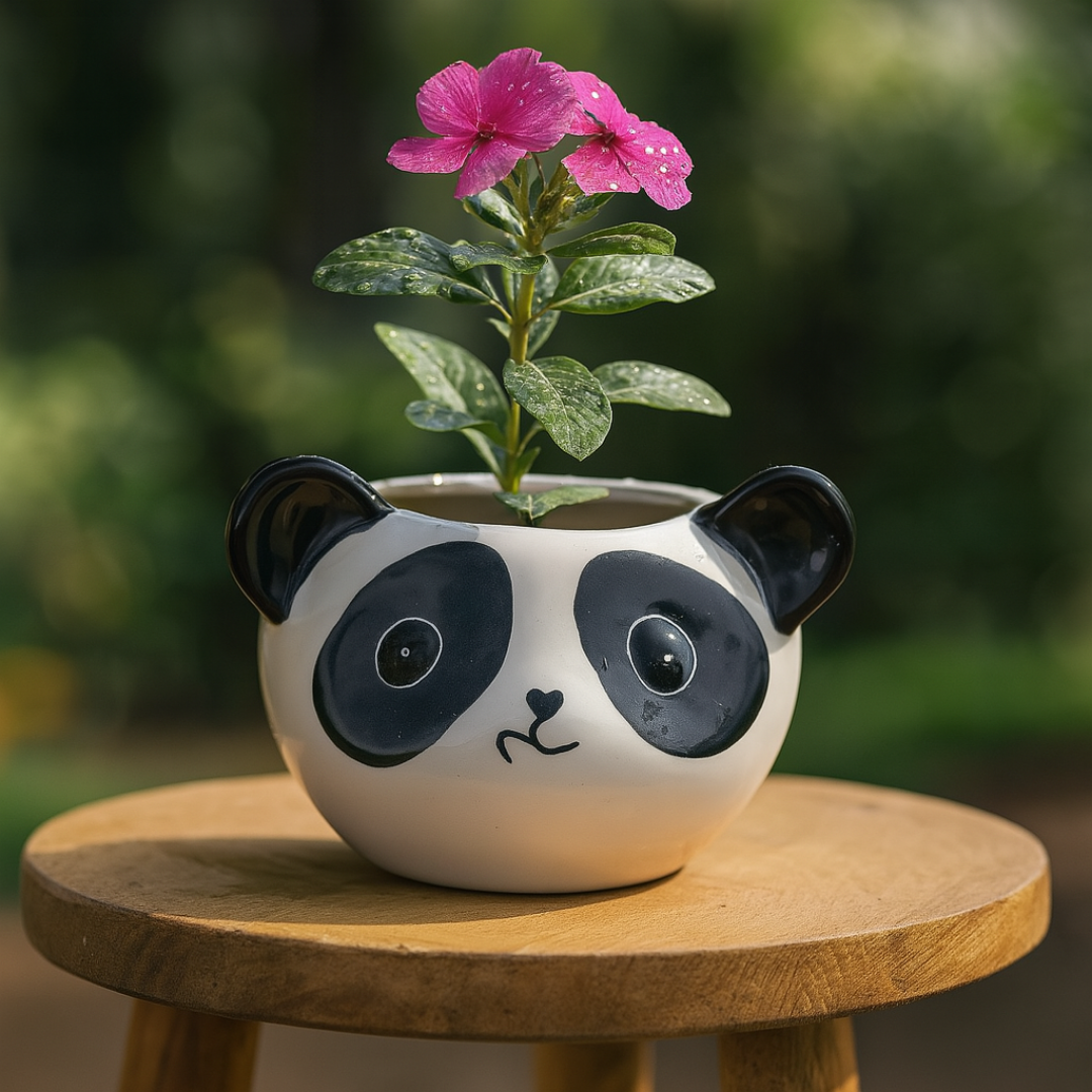 "Snuggle Panda Ceramic Planter" for indoor plants, outdoor plants, cactus & succulents.