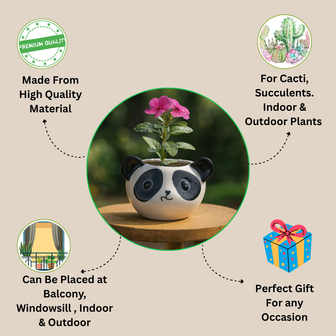 "Snuggle Panda Ceramic Planter" for indoor plants, outdoor plants, cactus & succulents.
