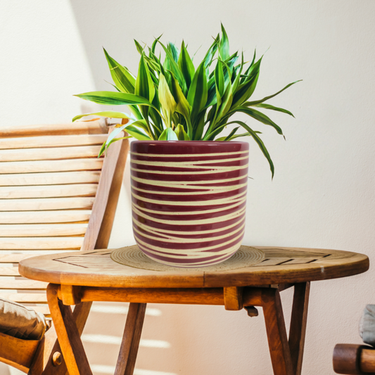 Premium Ceramic Striped Planter Pot for Succulents | Cactus | Indoor & Outdoor Plants – Purple Colour