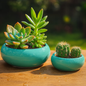 Turquoise Harmony Ceramic Planter Set of 2” for Cactus, Succulents, Bonsai & Small Plants.