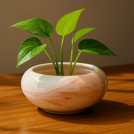 Ceramic Rose Marble Bowl Planter – Set of 2  for Lucky Bamboo, Cactus & Succulents.