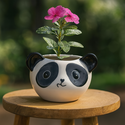 "Snuggle Panda Ceramic Planter" for indoor plants, outdoor plants, cactus & succulents.