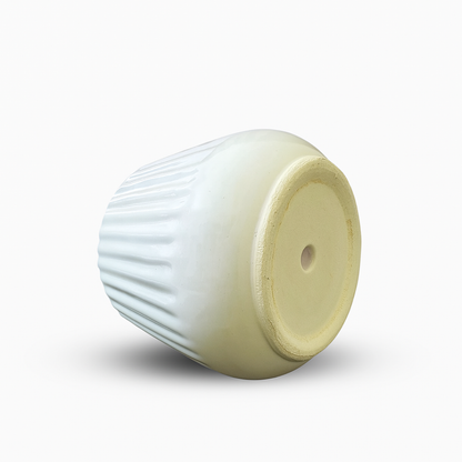 Ivory Charm Ceramic Planter” for Indoor Plants, Outdoor Plants, Cactus & Succulents.