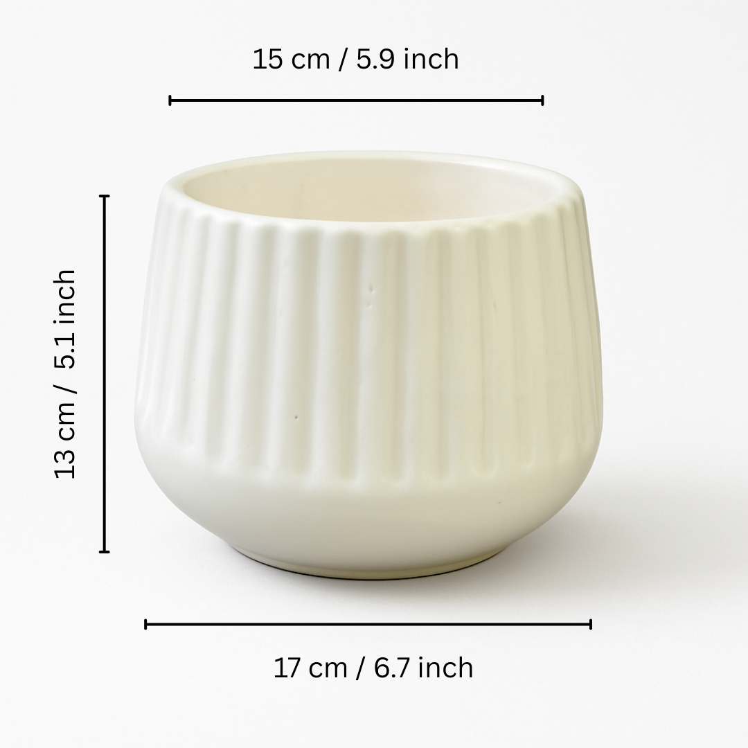 Ivory Charm Ceramic Planter” for Indoor Plants, Outdoor Plants, Cactus & Succulents.