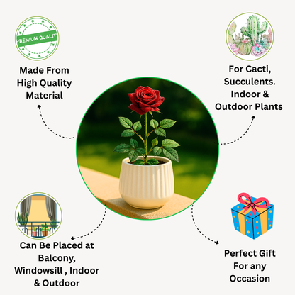 Ivory Charm Ceramic Planter” for Indoor Plants, Outdoor Plants, Cactus & Succulents.