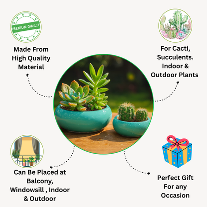 Turquoise Harmony Ceramic Planter Set of 2” for Cactus, Succulents, Bonsai & Small Plants.