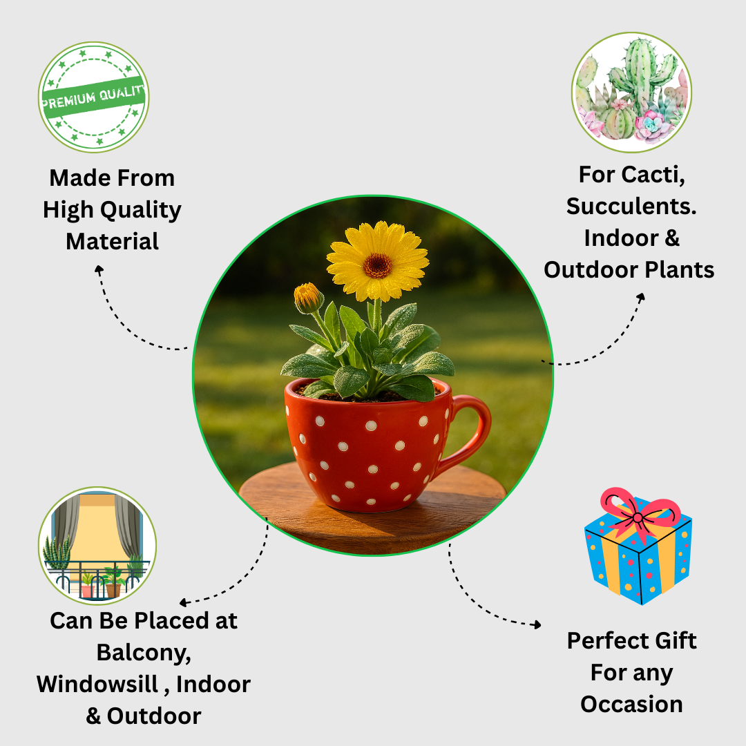 Daisy Delight Ceramic Cup Planter- Red ” for Cactus, Succulents, Indoor & Outdoor Plants.
