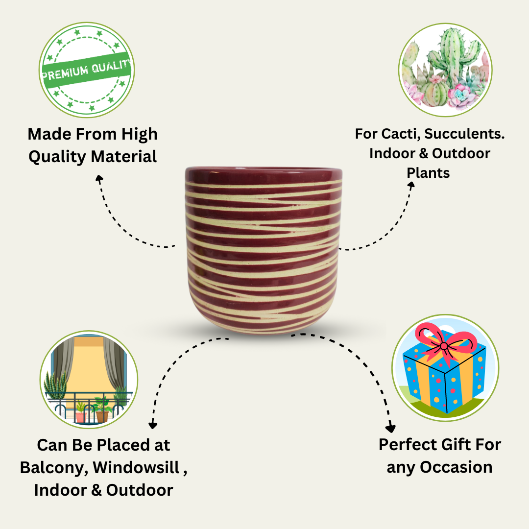 Premium Ceramic Striped Planter Pot for Succulents | Cactus | Indoor & Outdoor Plants – Purple Colour