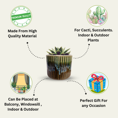 Premium Ceramic Ribbed Planter Pot for Succulents | Cactus | Indoor & Outdoor Plants – Olive Green