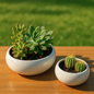 Lavender Harmony Ceramic Planter Set of 2” for Cactus, Succulents, Bonsai & Small Plants.