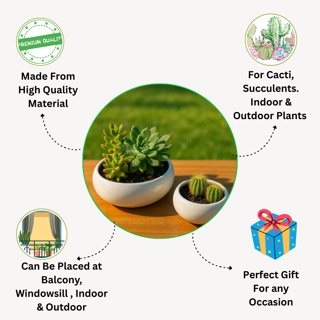 Lavender Harmony Ceramic Planter Set of 2” for Cactus, Succulents, Bonsai & Small Plants.