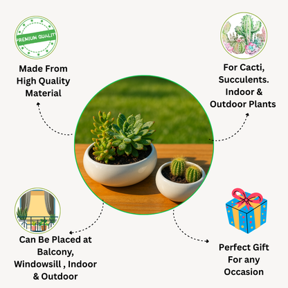 Lavender Harmony Ceramic Planter Set of 2” for Cactus, Succulents, Bonsai & Small Plants.