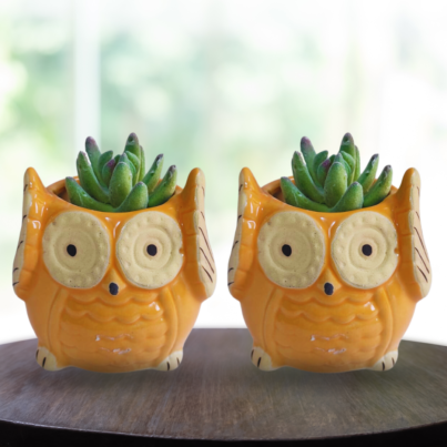 Green-Owl-Planter.png